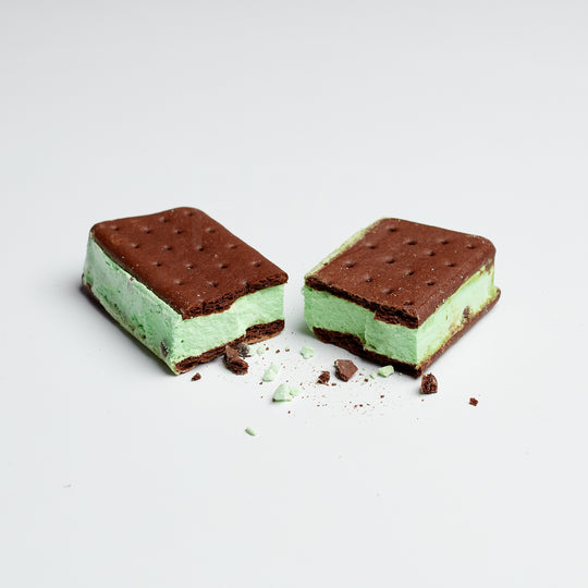 Astronaut Ice Cream - Mint Chocolate Chip Ice Cream Sandwich with ice cream image