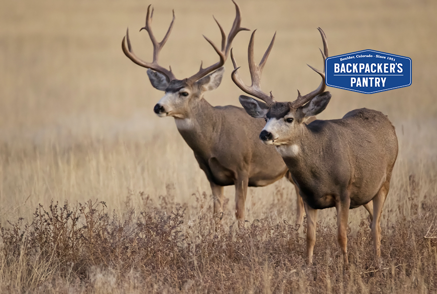 The Greatest Hunting Stories Ever Told: Catchin' Deers