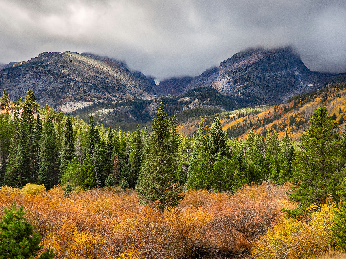Best Campsites in Rocky Mountain National Park - Car Camping & Backcountry