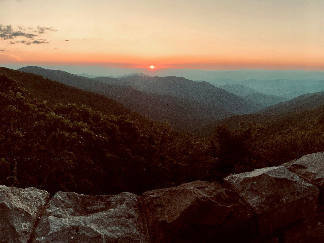 Best Hikes in Shenandoah National Park - From Beginner to Expert