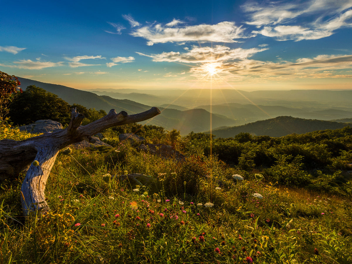 Best Campsites in Shenandoah National Park - Car Camping & Backcountry