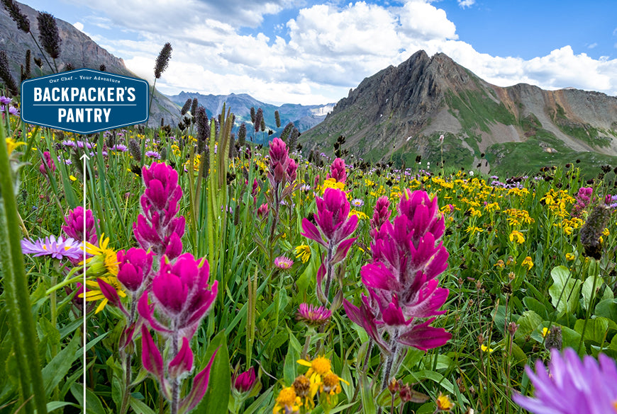 Springtime In Colorado Colorado Wildflowers: Accessible Locations to See the Spring Bloom ...