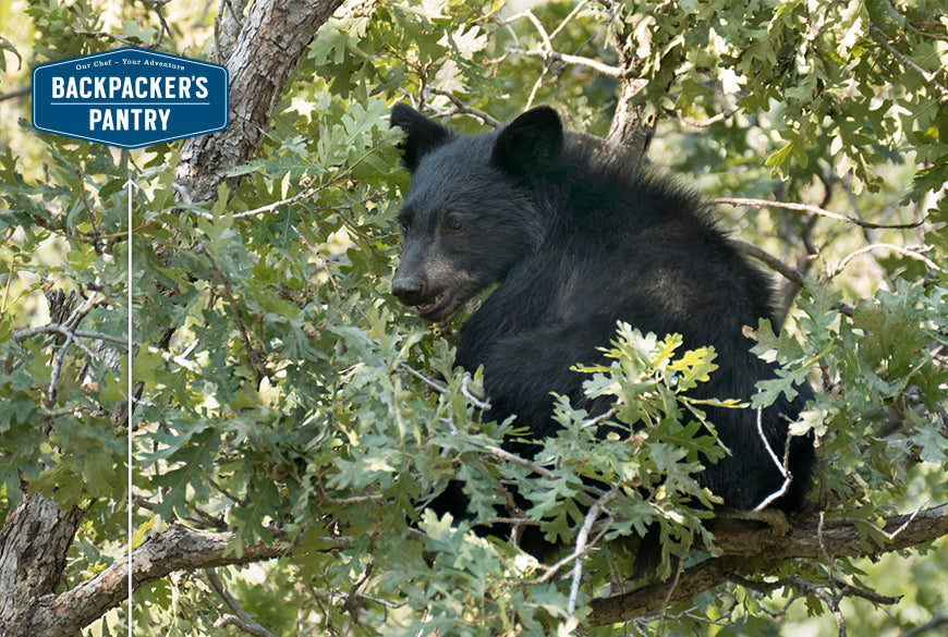 Be Bear Aware! Wildlife Safety Tips | Backpacker's Pantry