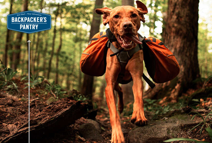 Doggone Good Fun: Prepare Your Pooch for Outdoor Adventure