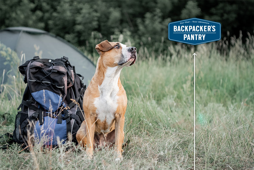 Dog First Aid for Hiking, Camping, and Other Wilderness Adventures