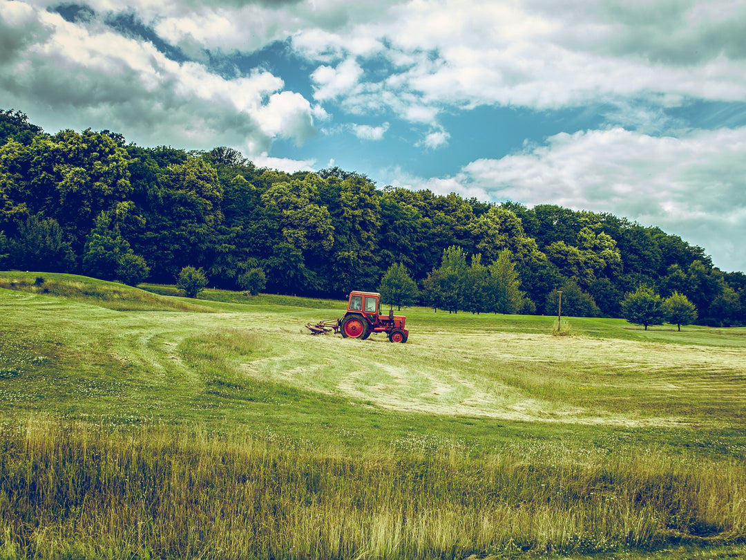 SOIL Boulder funds regenerative agriculture and local food