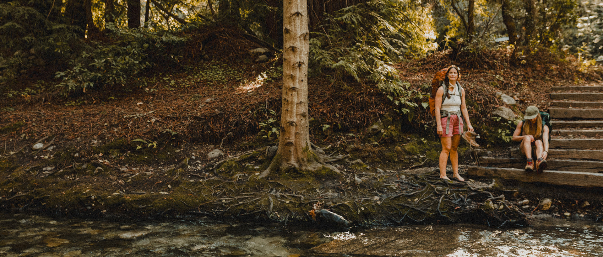 Two hikers with backpacks standing on a wooden bridge over a stream in a forest.