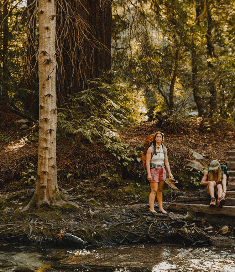 Two hikers with backpacks on a forest trail with a stream in the foreground.